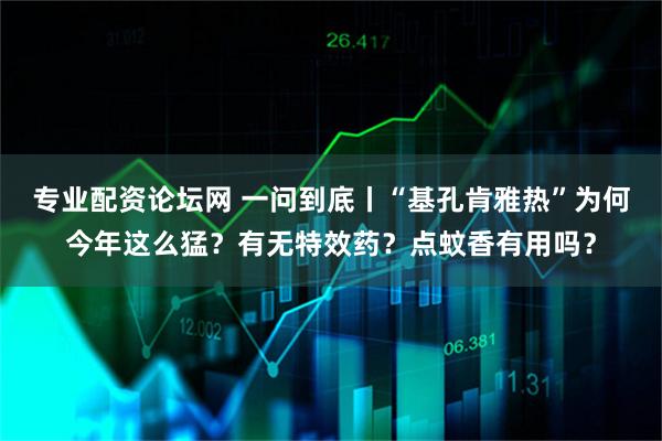 专业配资论坛网 一问到底丨“基孔肯雅热”为何今年这么猛？有无特效药？点蚊香有用吗？