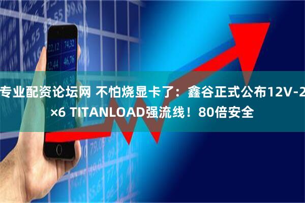 专业配资论坛网 不怕烧显卡了:鑫谷正式公布12V-2×6 TITANLOAD强流线!80倍安全